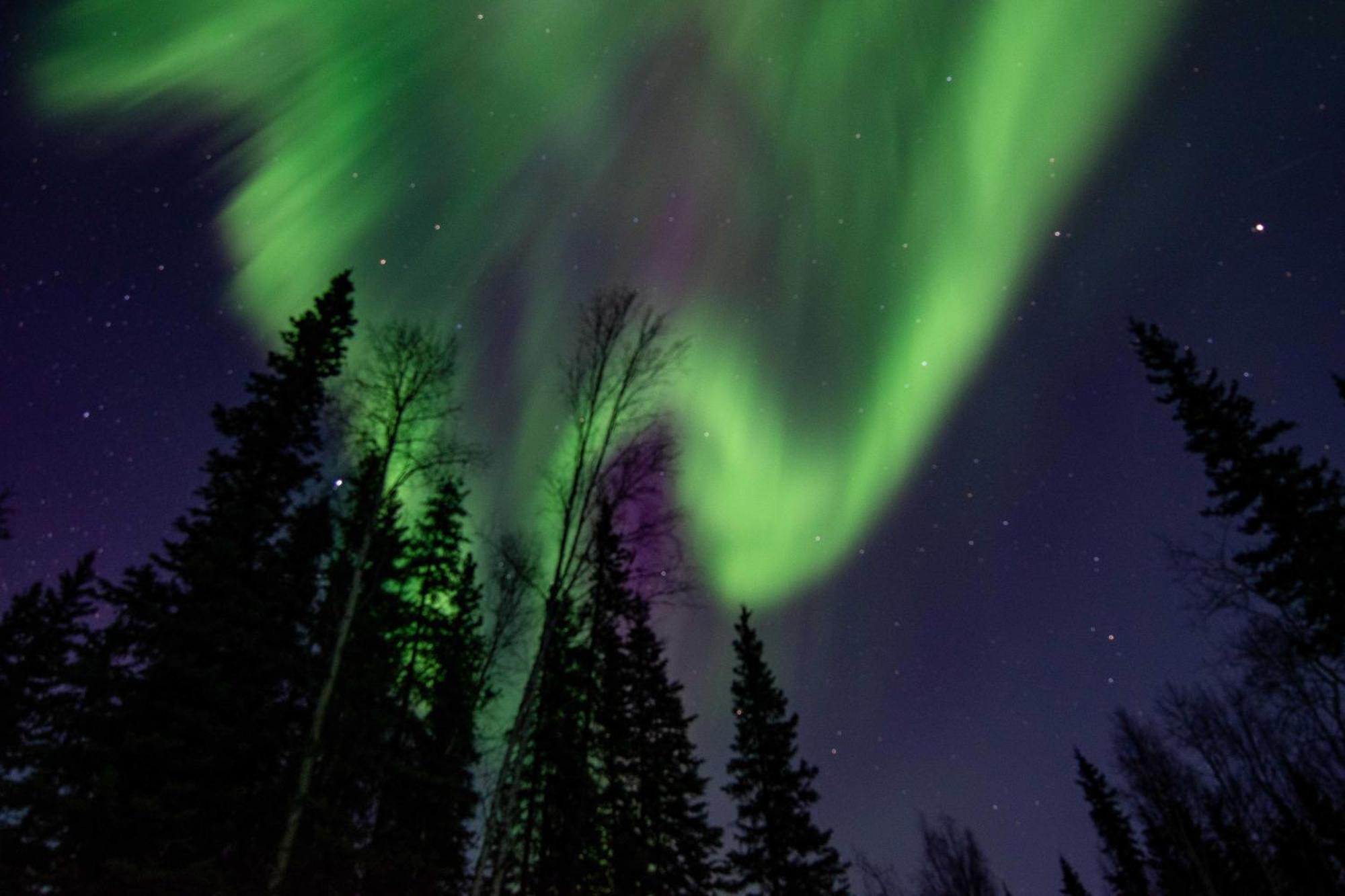 Riverside Log Cabin On-Site Aurora Viewing! North Pole Exteriör bild